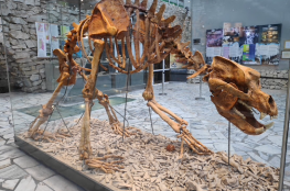 Stronie Śląskie Atrakcja Jaskinia Jaskinia Niedźwiedzia